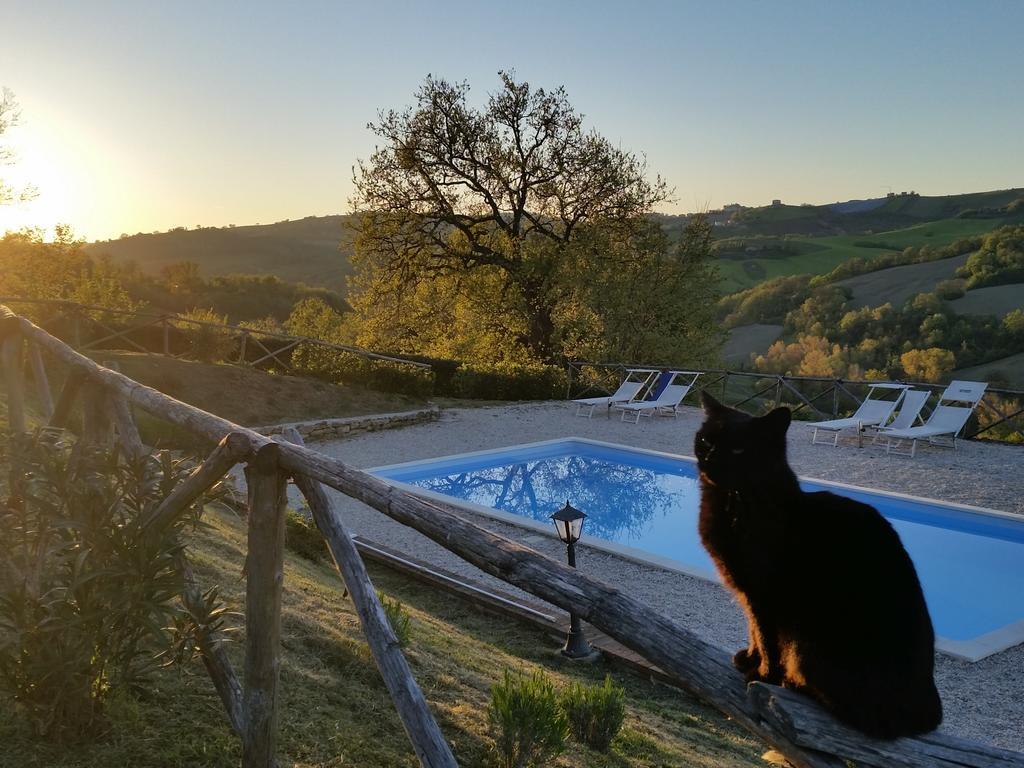 Agriturismo Tre Querce Penna San Giovanni Exteriér fotografie